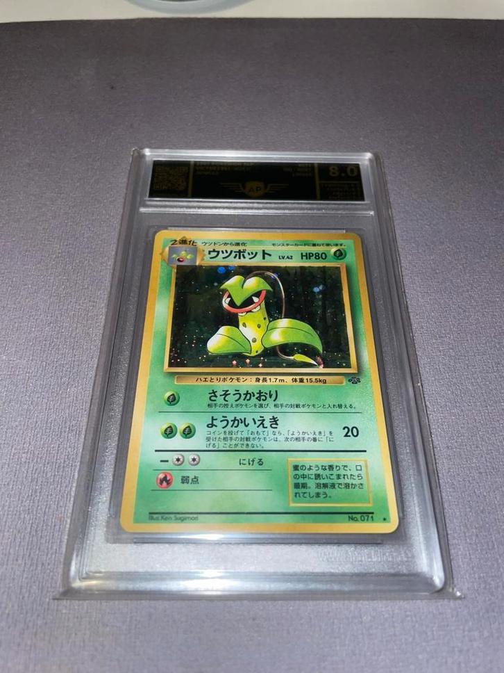 Vicetreebel Holo 1997 Japans Graded 8.0 Pokemon, Hobby en Vrije tijd, Verzamelkaartspellen | Pokémon, Zo goed als nieuw, Ophalen of Verzenden