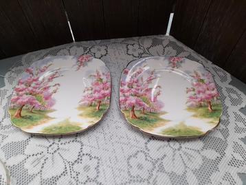 2  x gebaks bordjes blossom time beschikbaar voor biedingen