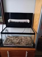 Aquarium, Ophalen, Gebruikt, Leeg aquarium