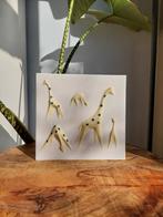 Sgrafo Modern giraffe tegel, Ophalen of Verzenden