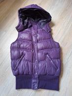 Nieuw: Bodywarmer met capuchon. Maat M, Maat 38/40 (M), Paars, Nieuw, Ophalen of Verzenden