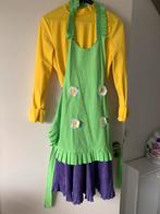 Kabouter kwebbel kostuum, Ophalen of Verzenden, Zo goed als nieuw, Carnaval