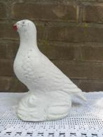 wit duifje, Ophalen of Verzenden, Gebruikt