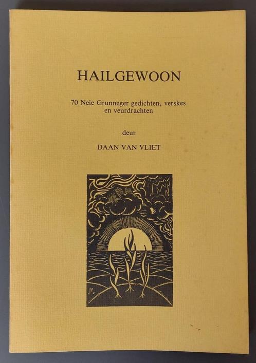 Hailgewoon - Daan van Vliet - Gedichten ea regio Groningen, Boeken, Geschiedenis | Stad en Regio, Gelezen, Ophalen of Verzenden