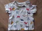 Dino tshirt 62, H&M, Ophalen of Verzenden, Zo goed als nieuw, Jongetje