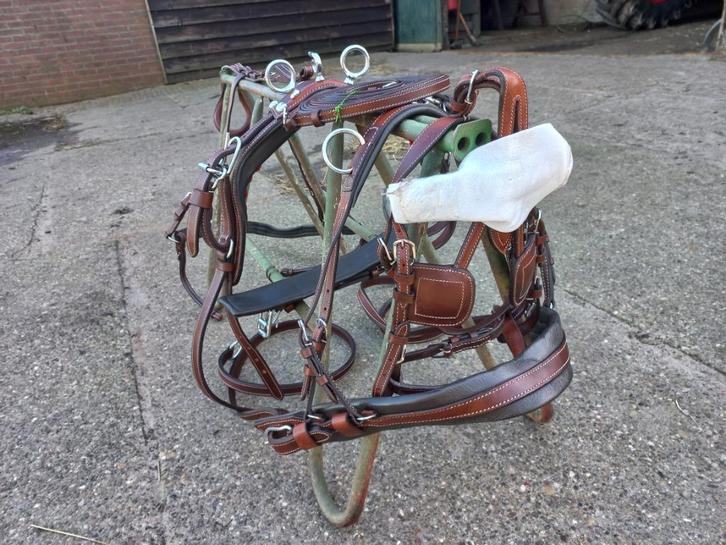 Nieuw shetland mini tuigje bruin leren, Dieren en Toebehoren, Paarden en Pony's | Hoofdstellen en Tuigage, Nieuw, Ophalen