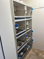 Broedkooien Van Keulen 8 delig, Dieren en Toebehoren, Vogels | Hokken en Kooien, Ophalen of Verzenden, Hout, Broedkooi of Kweekkooi