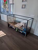 Verblijf voor konijnen hamsters of reptielen, Ophalen, Hamster, 90 cm of meer, Hok