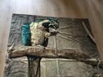 Wandkleed, velours met afbeelding papegaai, Ophalen of Verzenden, Nieuw