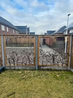 2x Schutting raster met klimop - 1 jaar oud, Tuin en Terras, Ophalen, 1 tot 2 meter, Minder dan 3 meter, Zo goed als nieuw