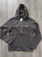 Hackett Aston Martin storm hoody s nieuw
U kunt hem ophalen, Kleding | Heren, Truien en Vesten, Hackett, Zwart, Nieuw, Ophalen of Verzenden