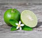 10 lime seeds, Tuin en Terras, Bloembollen en Zaden, Ophalen of Verzenden, Volle zon