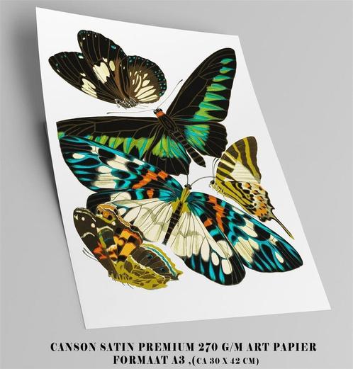 Kunst Print Decoratieve VLINDERS ART NOUVEAU Poster, Antiek en Kunst, Kunst | Overige Kunst, Verzenden