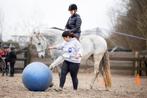 grondwerklessen aangeboden, Dieren en Toebehoren, Ophalen of Verzenden, Nieuw
