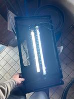 Aquarium, Dieren en Toebehoren, Vissen | Aquaria en Toebehoren, Ophalen, Zo goed als nieuw, Leeg aquarium