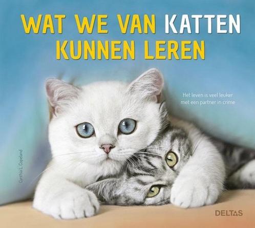 Cynthia-L. Copeland - Wat we van katten kunnen leren - NIEUW, Boeken, Dieren en Huisdieren, Nieuw, Katten, Ophalen of Verzenden