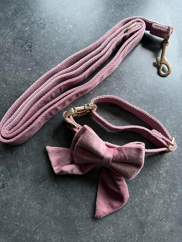 Paars -roze set halsband met strik + riem, Dieren en Toebehoren, Ophalen of Verzenden, Nieuw