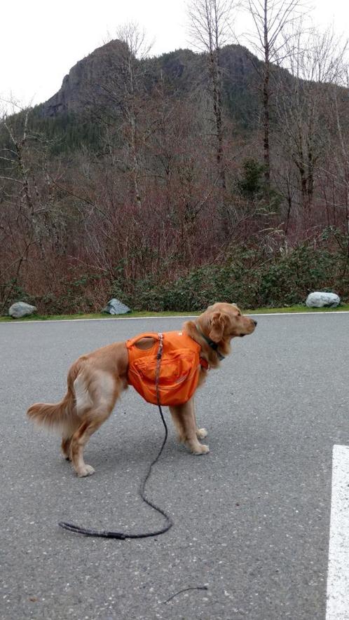 Ruffwear hond rugzak - Groot, Dieren en Toebehoren, Honden-accessoires, Gebruikt, Ophalen