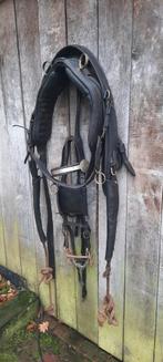Tekoop als decoratie oud paarde tuig, Dieren en Toebehoren, Ophalen, Gebruikt, Overige soorten