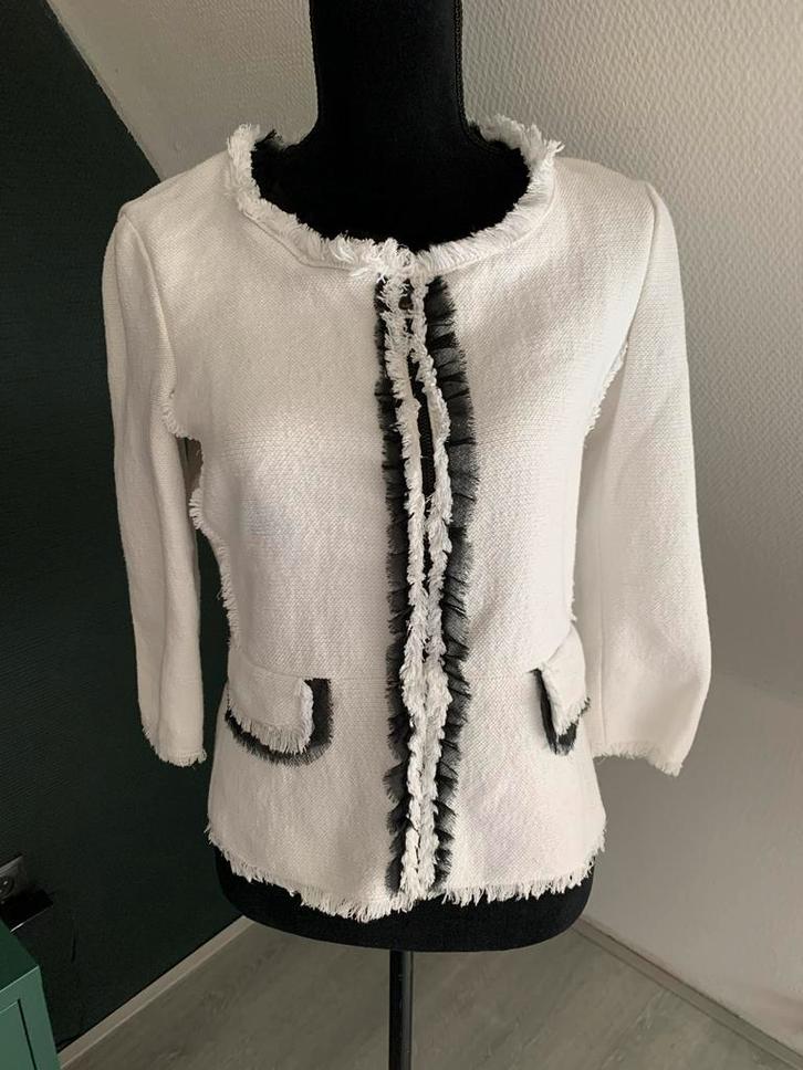 Expresso Wit Vestje met Zwarte Rushes, Kleding | Dames, Truien en Vesten, Zo goed als nieuw, Maat 38/40 (M), Wit, Verzenden