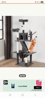 Katten krappaal, Ophalen