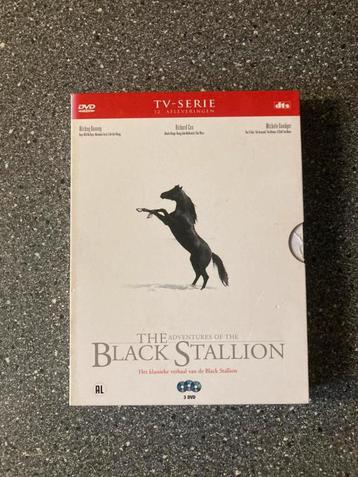  	 Black Stallion tv serie 3 dvd box, Ned. Ondert. beschikbaar voor biedingen