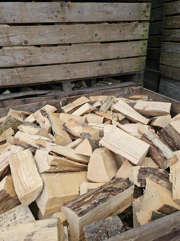 openhaardhout droog essenhout esdoorn haardhout beschikbaar voor biedingen