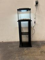Klein aquarium, Ophalen of Verzenden, Zo goed als nieuw, Leeg aquarium
