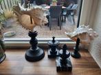 Oude taxidermie schelpen en ornamenten op marmer, Antiek en Kunst, Ophalen of Verzenden