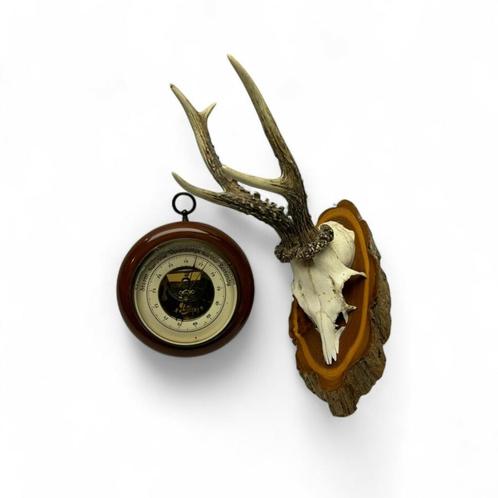 Barometer en ree gewei, Antiek en Kunst, Curiosa en Brocante, Ophalen of Verzenden