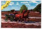 Rolde Drenthe - klederdracht paard en wagen heide 1977, Verzamelen, Ansichtkaarten | Themakaarten, Klederdracht, 1960 tot 1980