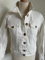 King Louie maat 38 wit spijker jack jas vest 563, Maat 38/40 (M), Wit, Ophalen of Verzenden, Zo goed als nieuw