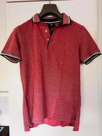 Cavallaro napoli polo, Verzenden, Roze, Gedragen, Maat 46 (S) of kleiner