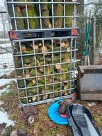 haardhout eiken kopen/ruilen., 3 tot 6 m³, Ophalen, Eikenhout, Stammen