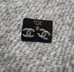 Elegante zilverkleurige oorbellen, Met kristal, Overige materialen, Verzenden, Nieuw