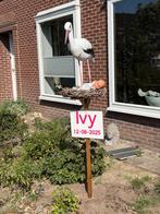 Geboortepaal Ooievaar met Baby, Ophalen of Verzenden, Gebruikt, Geboortebord