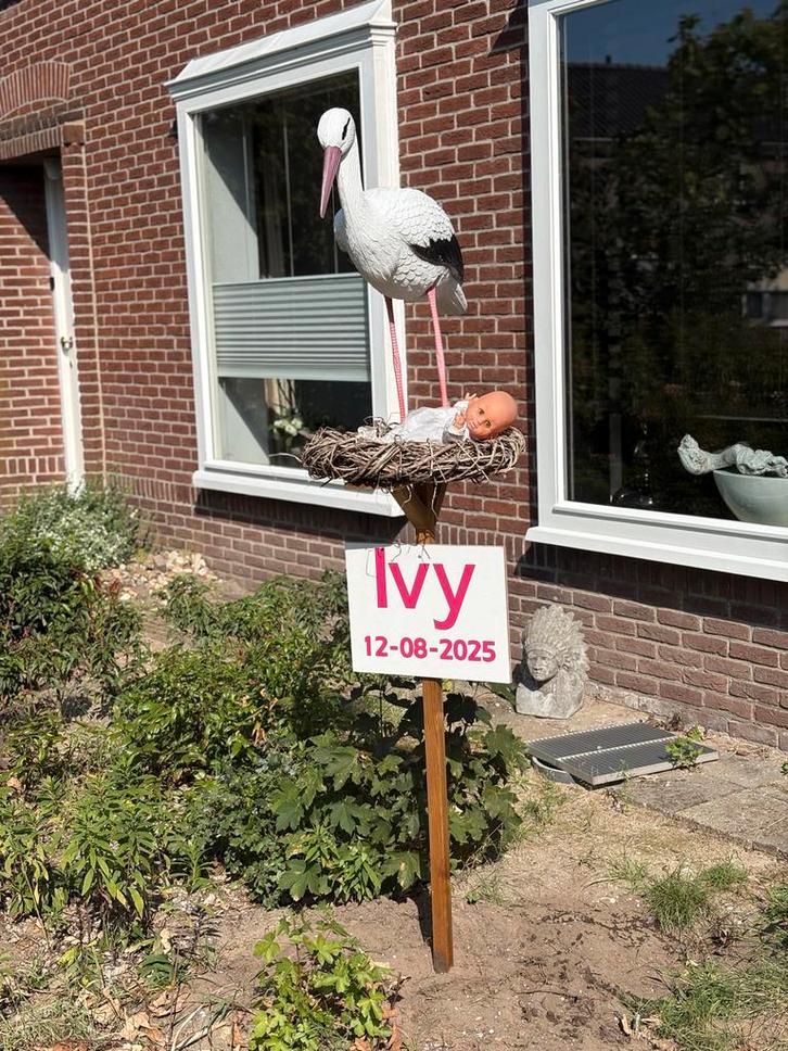 Geboortepaal Ooievaar met Baby, Kinderen en Baby's, Kraamcadeaus en Geboorteborden, Gebruikt, Geboortebord, Ophalen of Verzenden