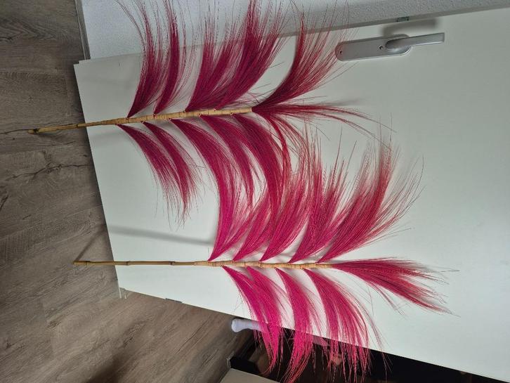 2x Decoratieve roze bamboe veren, Huis en Inrichting, Overige Huis en Inrichting, Zo goed als nieuw, Ophalen