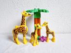 Duplo dierentuin safari dieren giraf, Ophalen of Verzenden, Gebruikt, Duplo