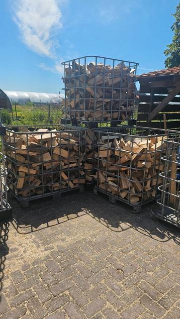 Haardhout versgekloofd essen of halfdroog  beschikbaar voor biedingen