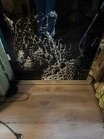 Panter Schilderij - Stijlvol en Modern, Ophalen, Zo goed als nieuw, 75 tot 100 cm, Minder dan 100 cm