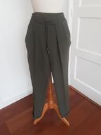 Donker groene broek 
Scarlet Roos
Maat 36
Met steek zakken, Scarlet Roos, Ophalen of Verzenden, Zo goed als nieuw, Maat 36 (S)