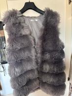 Bont gilet Cherry Koko maat M/L, Kleding | Dames, Ophalen of Verzenden, Zo goed als nieuw, Maat 38/40 (M), Grijs