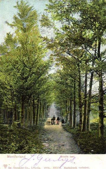 Montferland - Groote laan - volk - 1910 gelopen beschikbaar voor biedingen
