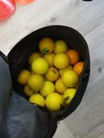 Zaalhockeyballen, Sport en Fitness, Ophalen of Verzenden, Gebruikt