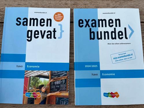 J.P.M. Blaas - havo Economie examenbundel en samengevat, Boeken, Schoolboeken, Zo goed als nieuw, Economie, HAVO, Ophalen of Verzenden