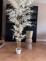 Bamboe Plant Decoratie, Ophalen of Verzenden, Zo goed als nieuw, Binnen