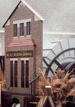 Woudagemaal Decorstukken - Uniek!, Ophalen, Gebruikt, Versiering, Overige