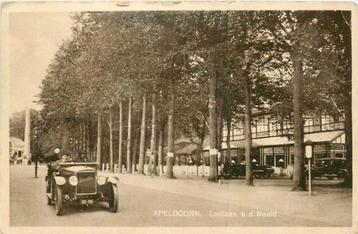 (300-432-001) Apeldoorn Loolaan bd Naald beschikbaar voor biedingen