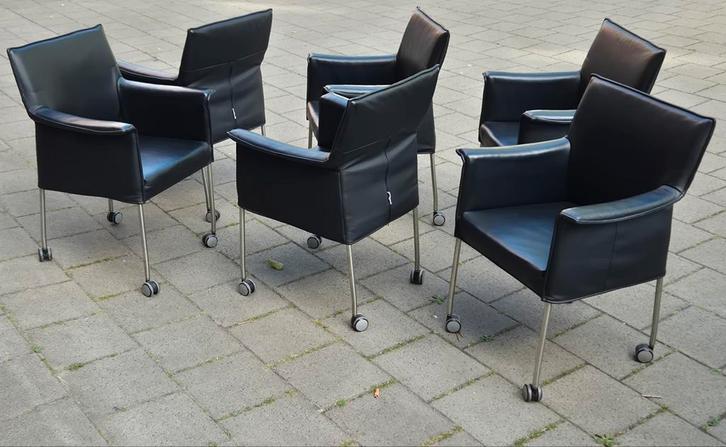 6 zeer goede Design on Stock eetkamerstoelen Model Gola
in, Huis en Inrichting, Stoelen, Zo goed als nieuw, Vijf, Zes of meer stoelen